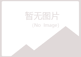 玛曲县代曼能源有限公司